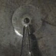 specimen stuck on the pin